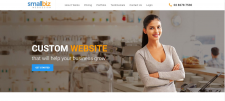 Small Biz Affordable website design