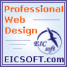 EICSOFT logo