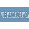 Webryze SEO Calgary : Search Engine Optimization logo