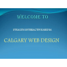 STEALTH - Calgary web design & marketing logo