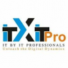 IT By IT Professionals logo