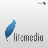 Litemedia Infotech Pvt Ltd logo