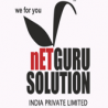 Netgurusolution India Pvt.Ltd. logo