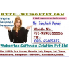 Websoftex Software Solutions Pvt Ltd logo