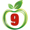 9 Apple Web logo