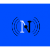 NetSol INfotech logo