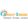 Bright Bridge Infotech - Digital Marketing Company in Coimbatore logo