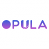 Opula Software Development Pvt. Ltd. logo