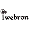 iwebron logo