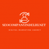 SEOCompanyinDelhi.net logo