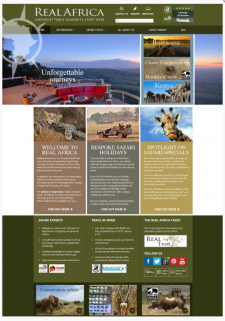 Redesign a Travel Website