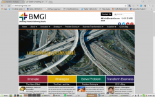 BMGI India