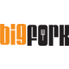 BIGFORK LTD logo