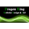 Dragon King Website Design logo
