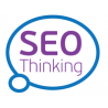 SEOthinking Ltd logo