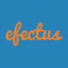 Efectus Consulting Ltd. logo