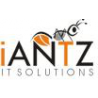 iAntz IT Solutions logo