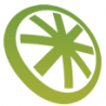 WordPress Website Pros logo