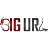Big Url Ltd logo