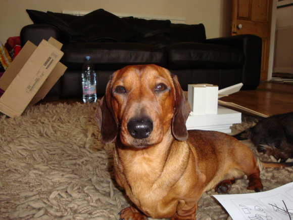 This is Edward. He's in charge of making the tea and making phone calls. He's also head of finance.