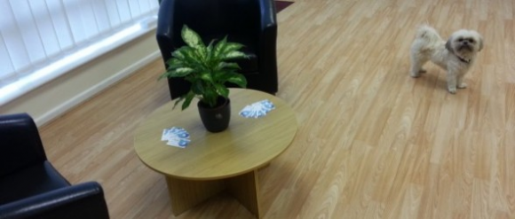 Barnack Business Center<br />
Salisbury <br />
Wiltshire<br />
