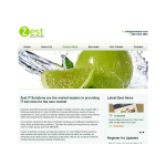 Zest  IT Solutions