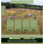 Wild Flower Lawns & Meadows
