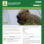 Welsh Beaver Project