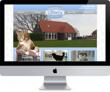 Colliers Cattery