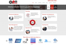 OPM Consulting