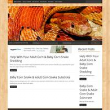 Corn Snake Care Zone