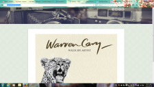 Warren Cary Wildlife Artist