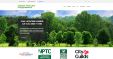 Jackson Tree Care