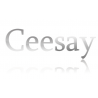 Managing Director ,Mr Ceesay