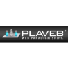 PLAVEB - Small Business Web Design Company logo