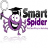 Smart Spider logo