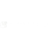 Little Tank Interactive logo