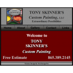 Skinner's Custom Painting