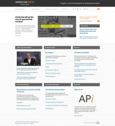 American Press Institute